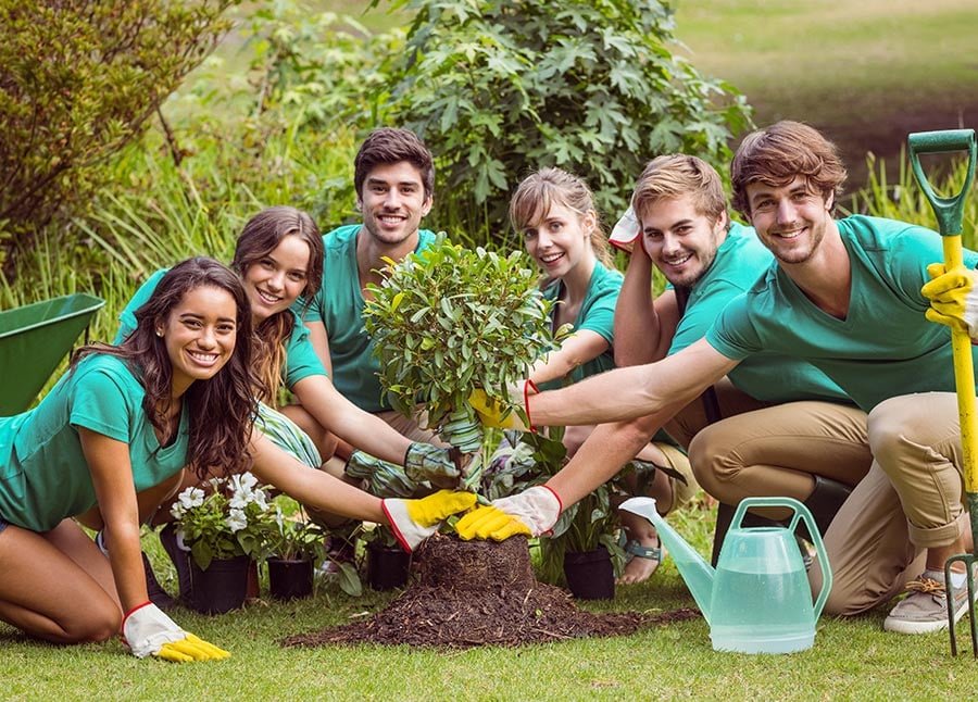 Voluntariados voluntarios12